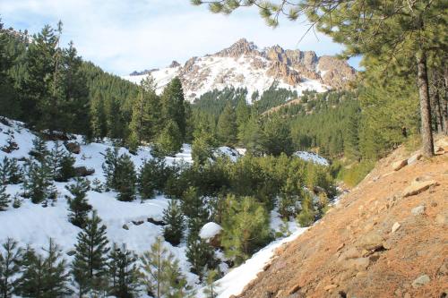 a snow covered mountain in the middle of a forest at Cabaña Del Viento in Huinganco