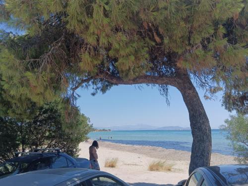 Paysage naturel près de the country house