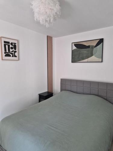 a bedroom with a bed and a pendant light at La longère du Moulin in Basse-Goulaine
