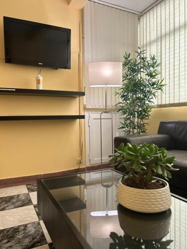 a living room with a couch and a table with a plant at Hostal Aeropuerto in Madrid