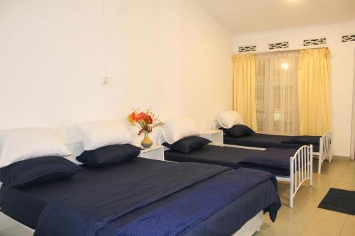 a bedroom with four beds with blue sheets and a window at Crystal Villa Knuckles in Kandy