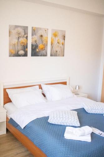 two beds in a bedroom with three paintings on the wall at Apartman Viševac Vranje in Vranje