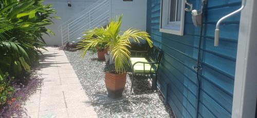 a porch with potted plants next to a blue house at Gîtes Capra Pomme Surette piscine et spa in Bouillante