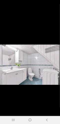 a white bathroom with a toilet and a sink at Hytte ved elv in Hektner