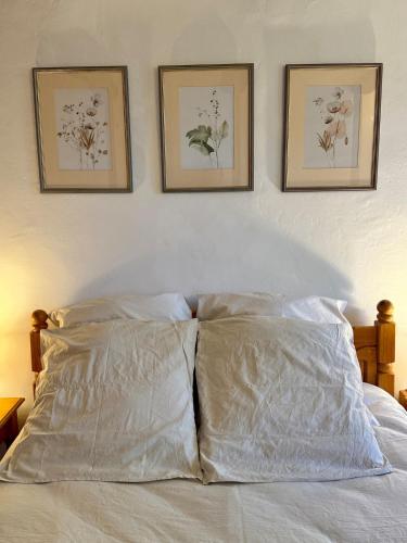 Katil atau katil-katil dalam bilik di Gîte Citronnier Authentique et paisible