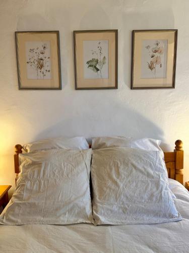 Katil atau katil-katil dalam bilik di Gîte Citronnier Authentique et paisible