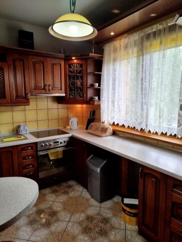 a kitchen with wooden cabinets and a counter top at Przytulny kąt in Białowieża