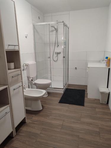 a bathroom with a shower and a toilet and a sink at J&V Zimmer II Walldürn in Walldürn