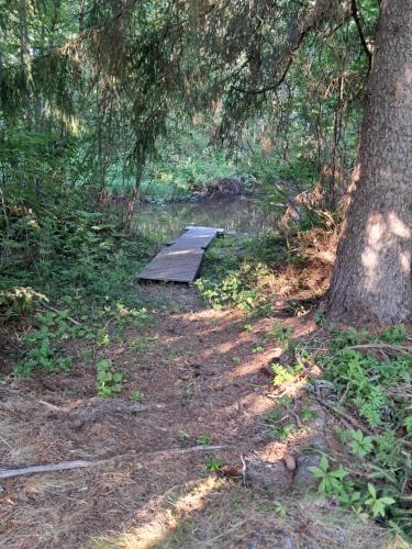 a wooden path in the woods next to a tree at Aalto A - A whole house with 5 bedrooms and a woodburning sauna in Oulu