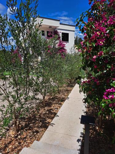 Taman di luar My Place Hvar