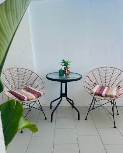 two chairs and a table with a potted plant on it at Katoi suite in Éxo Khóra