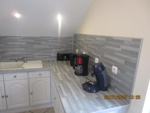 a kitchen with a counter and a sink in a room at Gîte Les Sassiers in Saint-Firmin-sur-Loire