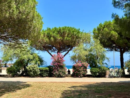 Studio avec jardin front de mer