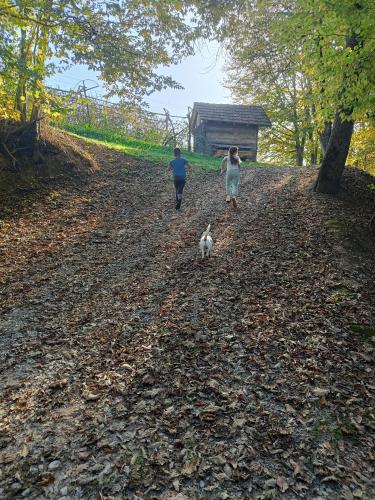 two people and a dog walking down a dirt road at Vikendica Jagodica in Ivanjica