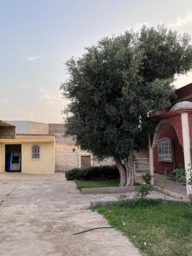 a tree in front of a house with a building at Charming villa in Safi in Safi