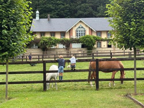 La Maison du Cavalier, Chateau de lAvenue