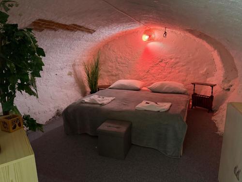 a small room with a bed in a cave at Sauna apartment UNESCO 14 century in Český Krumlov