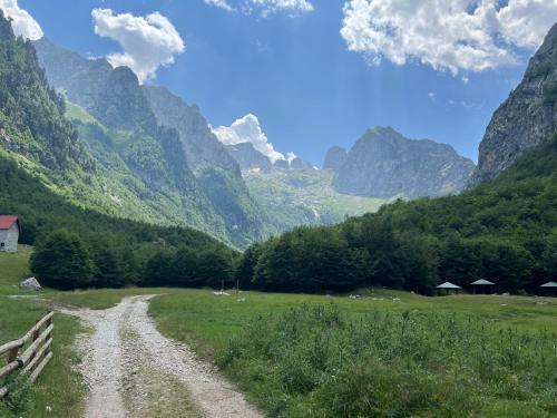 a dirt road in a field with mountains in the background at Emina in Plav