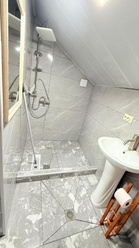 a bathroom with a shower and a sink and a toilet at happy pandasN12 in Borjomi