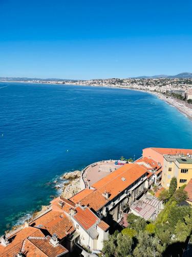 L'Embarcadère - Port de Nice photo 6