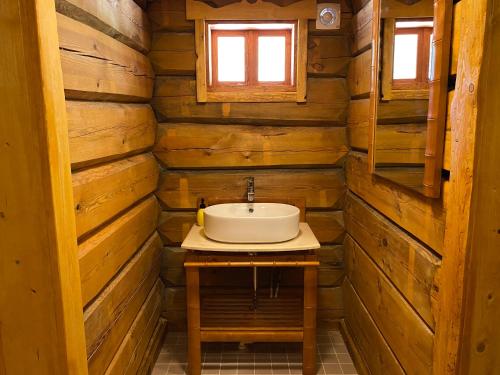 a bathroom with a sink in a log cabin at Privaatne maja metsas, kraanist voolab allikavesi in Plaani
