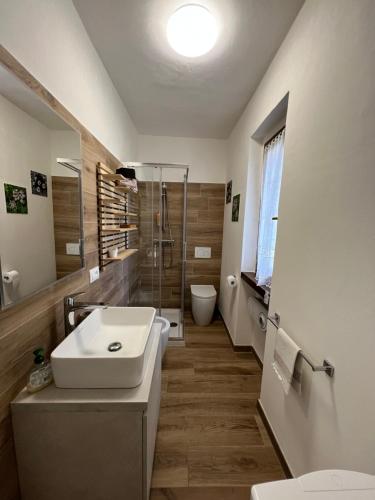 a bathroom with a sink and a shower and a toilet at Borzago in Spiazzo