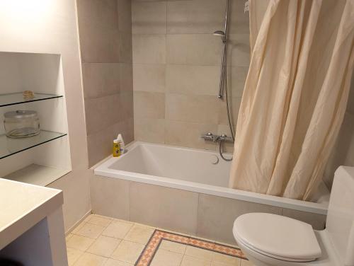 a bathroom with a tub and a toilet and a shower at Cosy Wooden Home in the Swiss Alps in Cavagnago