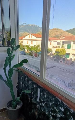 a cactus in a window with a view of a street at Relais L'Eucalipto in SantʼAgata deʼ Goti
