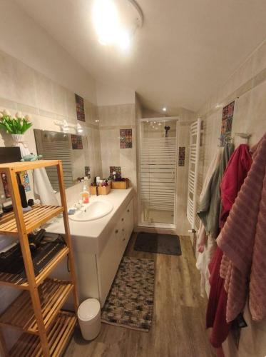 une salle de bain avec un lavabo blanc et une douche dans l'établissement Chambre cosy dans une élégante maison à Pornic, à Pornic