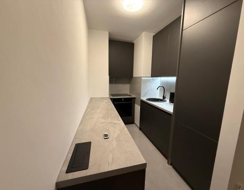 a small kitchen with a counter and a sink at Luxury Apartment Tuzla Stupine in Ši Selo