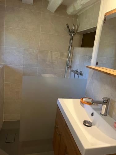 une salle de bain avec un lavabo et une douche dans l'établissement Le gîte de Pommette et Billy, à La Hoguette