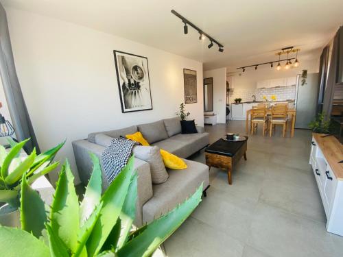 Apartament Pocztowa 44