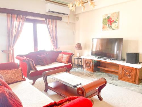 アテネにあるThiseio Villa Acropolis Viewのソファと薄型テレビのあるリビングルーム