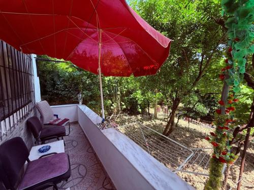 Guesthouse Albiにある庭