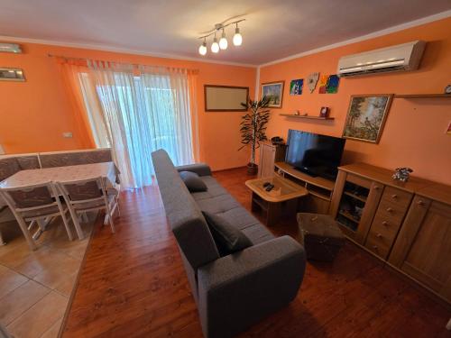 a living room with a couch and a tv and a table at Apartman Nina in Stanišovi