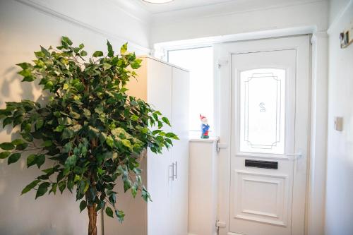 Brighton & Hove, 4 bedrooms, 5 beds, Garage photo 22