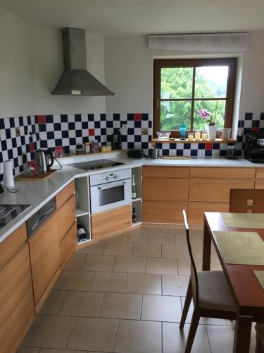 Η κουζίνα ή μικρή κουζίνα στο Apartmány Vila Jestřabí v Krkonoších