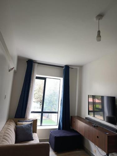 Μια τηλεόραση ή/και κέντρο ψυχαγωγίας στο Residence Next Door Escape