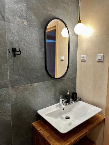 une salle de bain avec un lavabo et un miroir dans l'établissement Błyszczowe Berce, à Strzebowiska