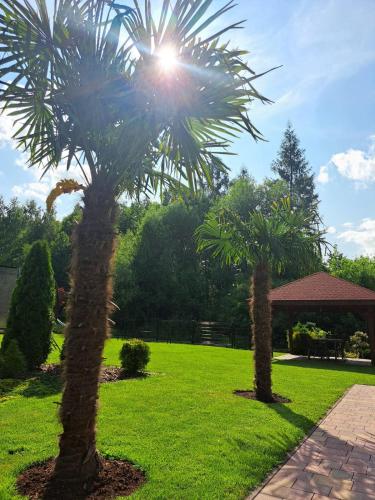 Foto Dom na polanie 2