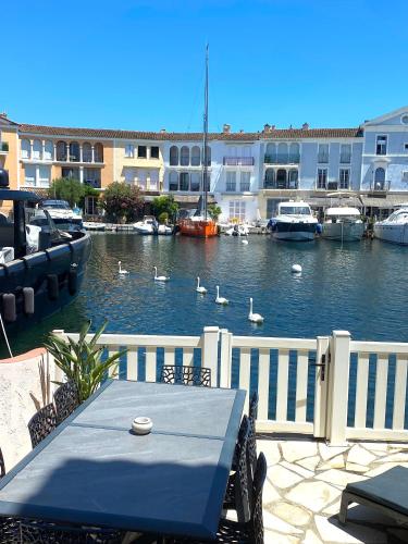 a table on a balcony with ducks in a marina at Maison de pêcheur Strelitzia amarrage 3,8m par 16m in Grimaud