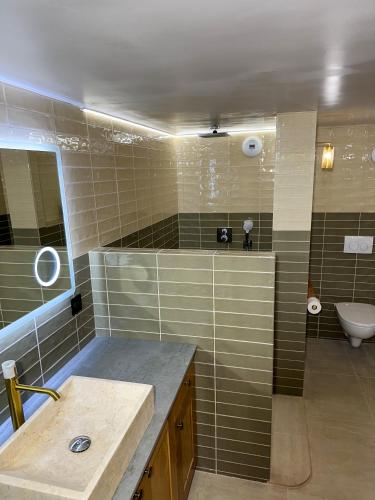 une salle de bain avec un lavabo et des toilettes dans l'établissement Maison Vaquier appartement, à Yenne