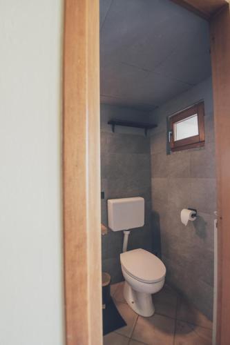 a small bathroom with a toilet and a window at Il fienile di Rosy in Ardenno