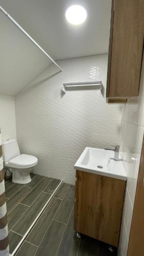 a bathroom with a sink and a toilet in it at Mini Cottage in Yablunytsya
