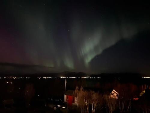 an aurora in the sky over a city at night at High standard and beautiful view in Tennevika