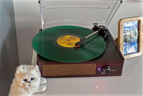 ボストンにあるBoston 2 Bedroom Suiteの緑のレコードプレーヤーの隣に猫が座っている