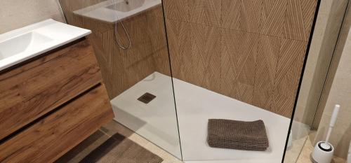 une douche en verre dans une salle de bain avec un lavabo dans l'établissement Frisch renovierte klimatisierte Ferienwohnung - nur 100 m vom Strand entfernt, à Portiragnes