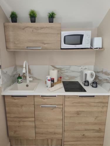 une cuisine avec un évier et un micro-ondes dans l'établissement L'écrin Bien-Etre-Studio Balnéo, à Pruniers