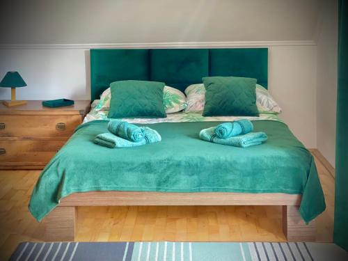 a large green bed with two blue pillows on it at Polańczyk Dom, Apartamenty - Leśny Domek Polańczyk in Polańczyk