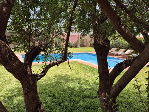 a swimming pool in a yard with a tree at Villa-l-arganier - Piscine - Sans vis-à-vis in Eddir